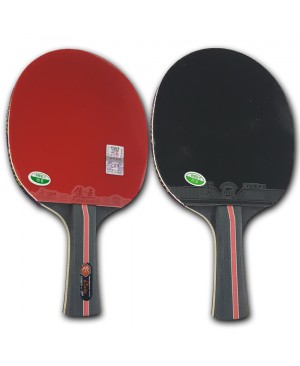 Vợt bóng bàn 729 - 2 sao CB