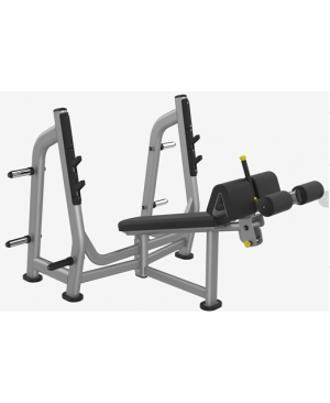 Máy đẩy tạ dốc xuống Royal M024B