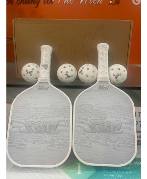 Vợt Picklerball  DHS  Reunion