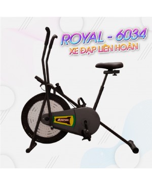 Xe đạp Royal 6034X